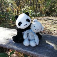 ちゃんさわ 会員画像