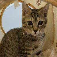 りこ88 会員画像