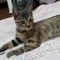 チャコ1214 会員画像