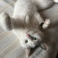 会員画像
