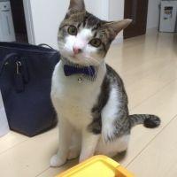 会員画像