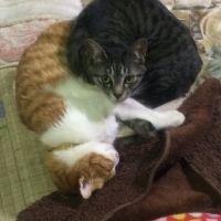 そらとプリン 会員画像