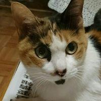会員画像