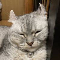 会員画像