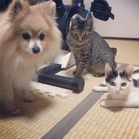 ももたろー 会員画像