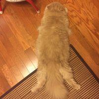 梅コタロウ 会員画像