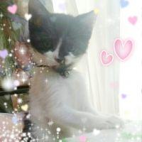 るななん 会員画像