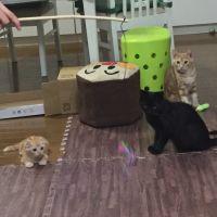 会員画像