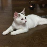 rururueito 会員画像