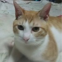 会員画像