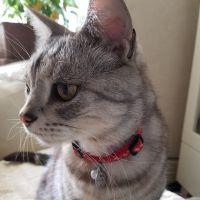 ちかりんさん 会員画像