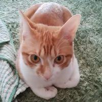 オオクボ 会員画像