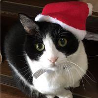 むぎつむぎさん