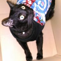 エメラルダスさん