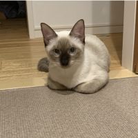 会員画像