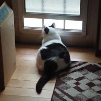 会員画像