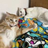 金さん銀さんさん