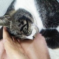 稲ちゃん 会員画像