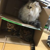 そかっち 会員画像