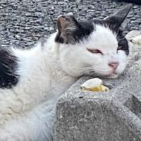 まつm 会員画像