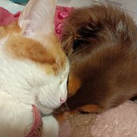 望珈 会員画像
