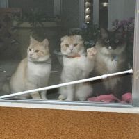 ジャック船長さん