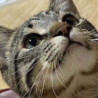 すんちさん