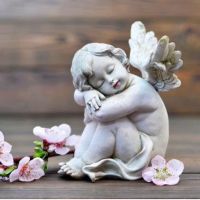 抹茶の小春 会員画像