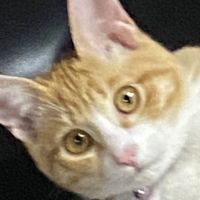会員画像