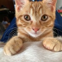 luciano 会員画像