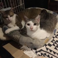 チァキ 会員画像