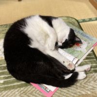 グラジー 会員画像