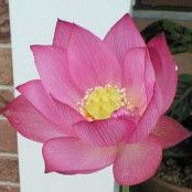 おもち丸 会員画像