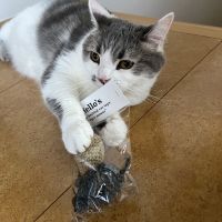 てっぽん 会員画像