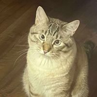 Kimuさん