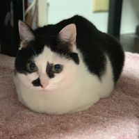 ゆず2835さん