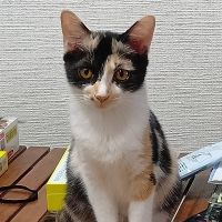 マサジロウ 会員画像