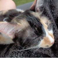 マサジロウ 会員画像