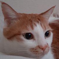 まぁmama 会員画像