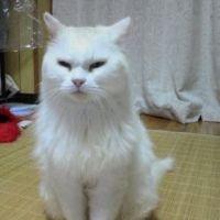 あずあず 会員画像