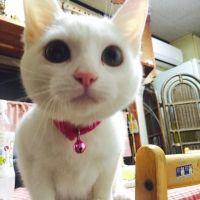 会員画像
