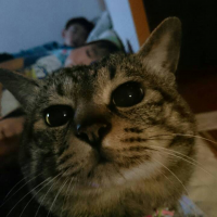 りゅう太郎 会員画像