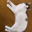 あつぼう