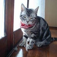 レフトハイ 会員画像