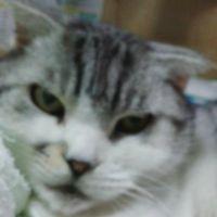 会員画像