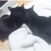 会員画像