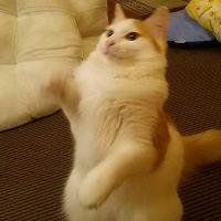 たぷたぷ 会員画像