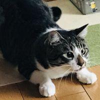 おうおう 会員画像