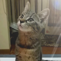 会員画像