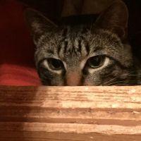 sachi1214 会員画像